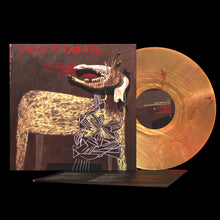 Load image into Gallery viewer, Alan Sparhawk With Trampled By Turtles LP