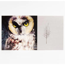 Load image into Gallery viewer, Ones and Sixes CD